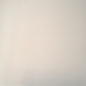 Meet your Posher, Bridget